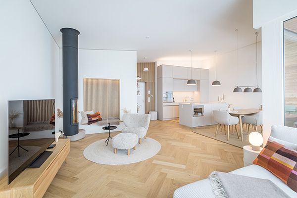 Umbau Ferienwohnung, Beatenberg