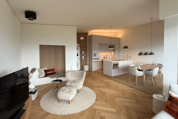 Umbau Ferienwohnung, Beatenberg